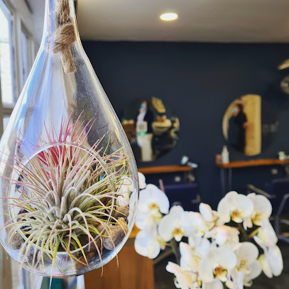 Saints Hair & Beauty